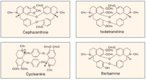 Cepharanthine Isolethandrice Cyclethine Berbamine