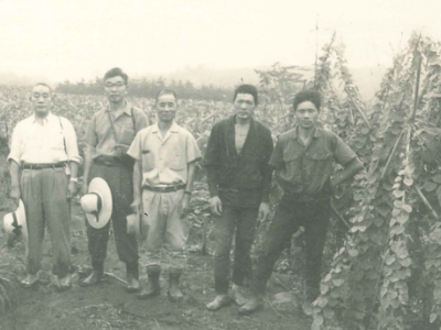 1969年八郷の栽培畑にて、大図宏之進氏と国立衛生試験所の技官（大図氏の紹介者）